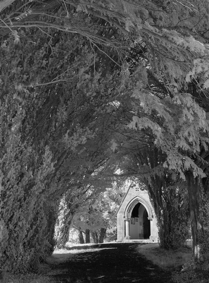 YEWTREE ARCH (002)